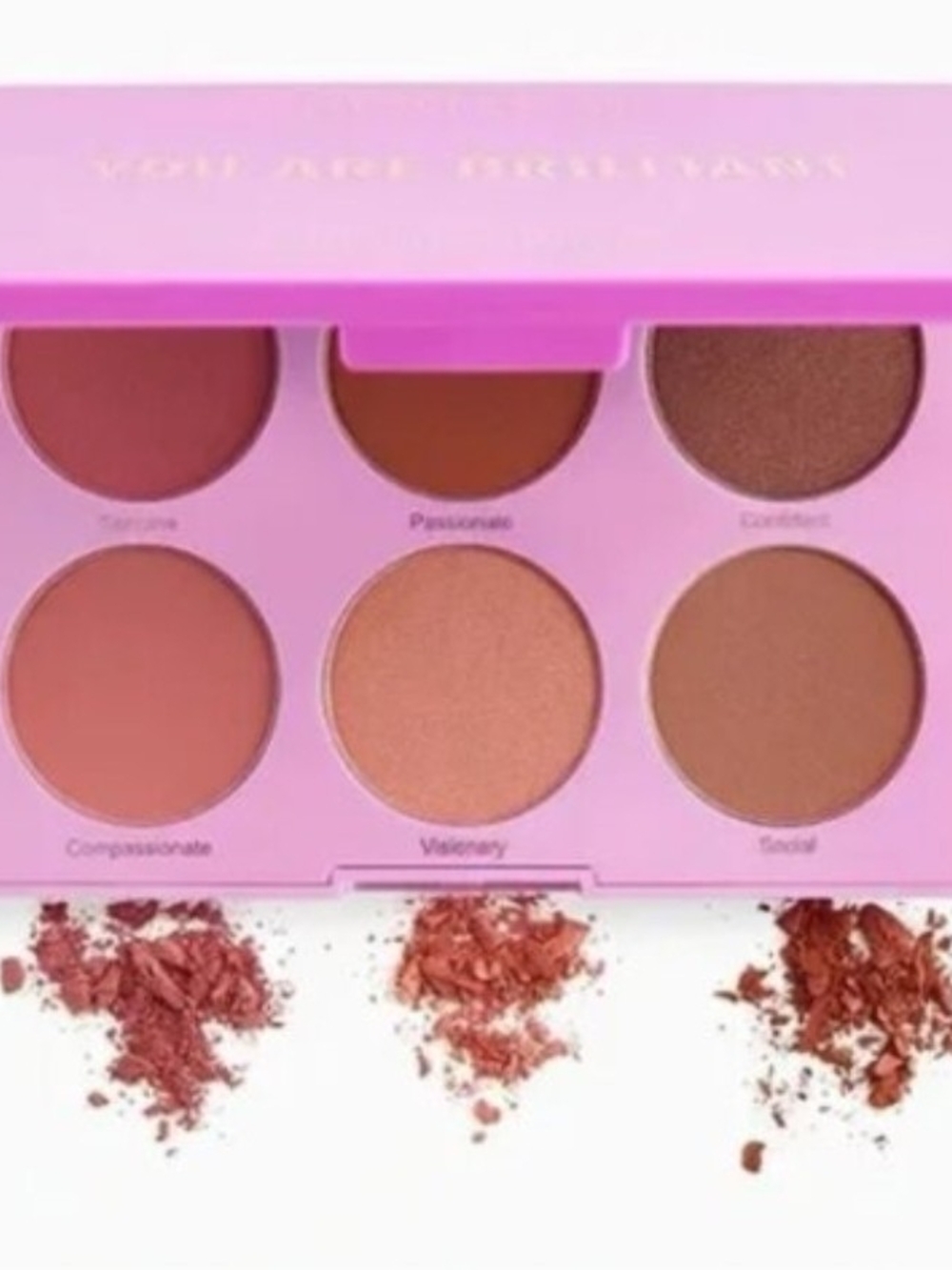 REALHER You Are Brilliant Pro Blush Palette NIB